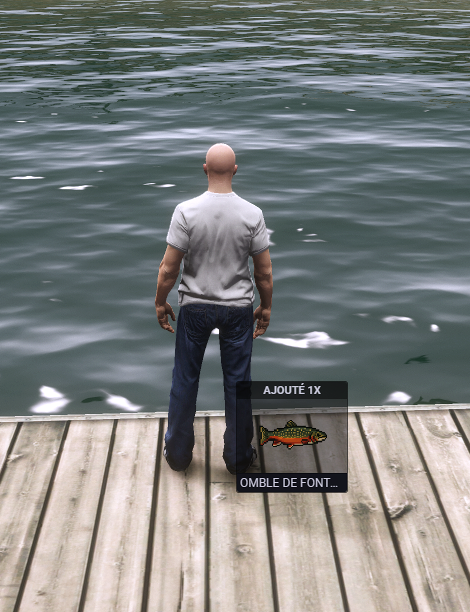 image3.png